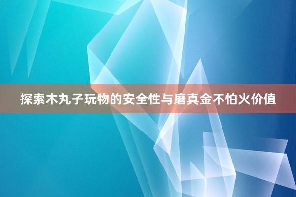 探索木丸子玩物的安全性与磨真金不怕火价值